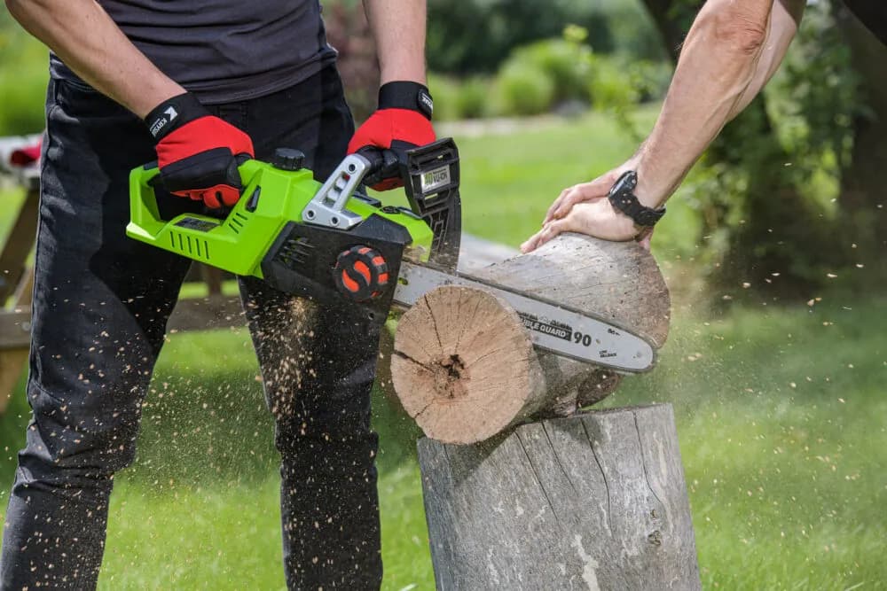 Przyczyna wycinki drzew: co naprawdę stoi za usuwaniem drzew?