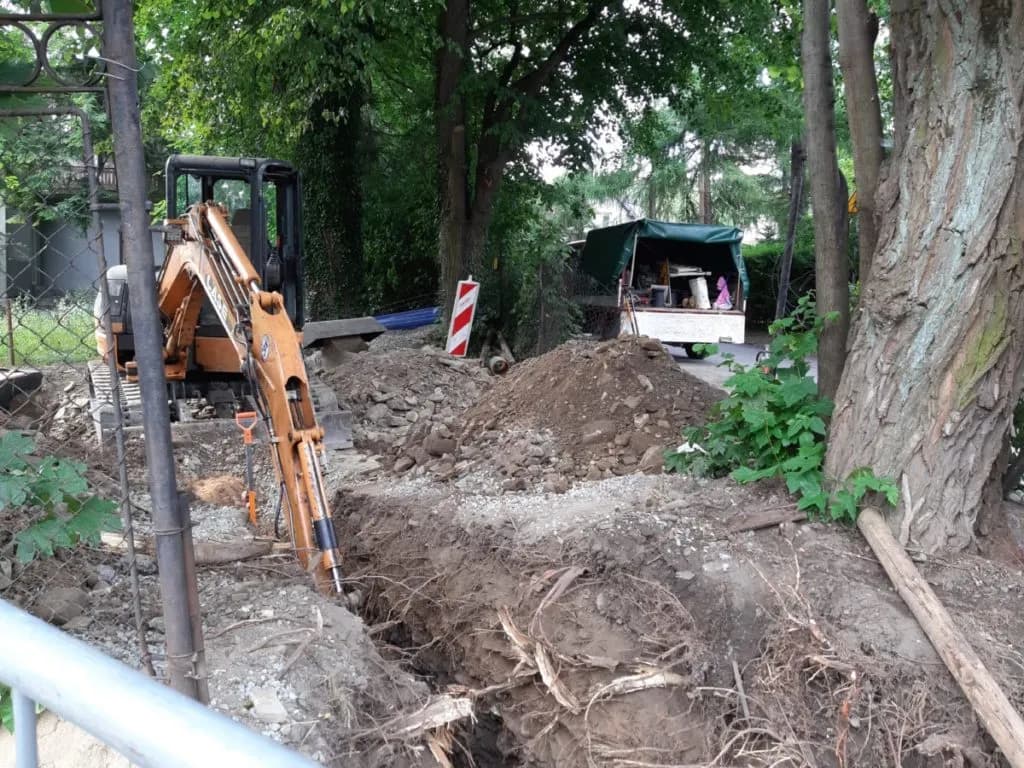 Kiedy zmiana ustawy o wycince drzew - co musisz wiedzieć, aby nie stracić?